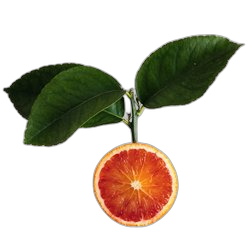 Blood Orange